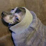 Kaylee Buchanan - @kaylee.buchanan.9678 - Instagram