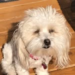 Kaylee richards - @kayleebuggy143 - Instagram