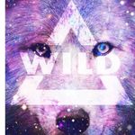 Kaylee Burke - @wolf_lover_8134 - Instagram