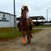 Kaylee Canoles - Facebook