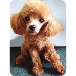 Kaylee Carpenter - @kayleecarpenter2005 - Instagram