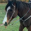 kayleecompton - @kayleecompton - TikTok