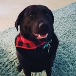 kaylee conner - @kay32443 - Instagram