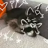 Kaylee.conner - @kaylee.and.conner - TikTok