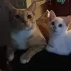 Kaylee Deleon - @kaylee.deleon - TikTok