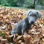 Kaylee - @kaylee_sparkle_diamonds - Instagram