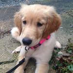 Kaylee Everett - @kaylee_kickball - Instagram