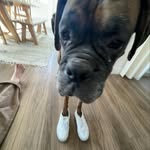 kaylee - @_kaylee.freeman - Instagram