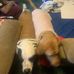 Kaylee Freeman - Facebook