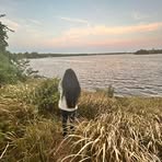 Caylee Goff - Facebook