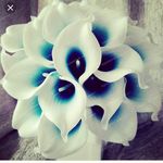 Kaylee Goff - @kaylee_goff277 - Instagram