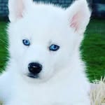 Kaylee Hines - @kaylee.hines.102 - Instagram