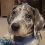 Kaylee Jefferson - Facebook