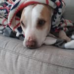 Kaylee Kline - @kline.kaylee - Instagram