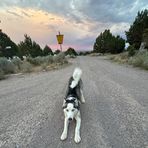 Kaylee Kline - Facebook