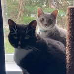 Kaylee Kline - @sunnywhiskers99 - Instagram