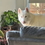 Kaylee - @kaylee.lambert_10 - Instagram