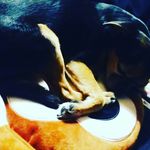 Kaylee - @kaylee_may_101 - Instagram