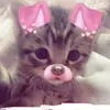 Kaylee May - @kaylee.may794 - TikTok