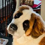 Kaylee Moon - @oliverisdbest - Instagram