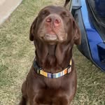 Kaylee - @kaylee.phelps05 - Instagram