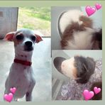 Kaylee Ramirez - Facebook