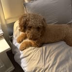 Kaylee Randall - Facebook