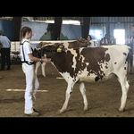Kaylee Raymond - @faymond_k_dog - Instagram