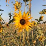 Kaylee Raymond - @countrygurlphotography - Instagram