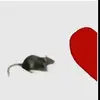Kaylee Reyes - @kaylee.reyes6 - TikTok