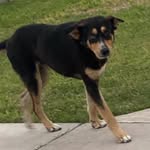 Kaylee Reyes - @kayleereyes4888 - Instagram