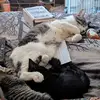 Kaylee Shepherd - @kaylee.shepherd06 - TikTok