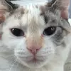 kayleeslater4 - @kayleeslater4 - TikTok