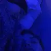 Kaylee Swanson - @kaylee.swanson - TikTok