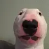 kayleevancee - @kaylee.vancee - TikTok