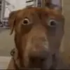 Kayleewally - @kayleewaller - TikTok