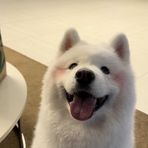 Kaylee Wang - Facebook