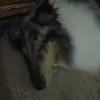 Weaver.kaylee - @weaver.kaylee - TikTok