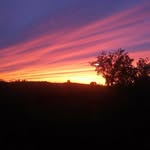 Kaylee Webster - @kaylee.webster.71 - Instagram