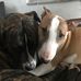 Kaylee Witt - Facebook