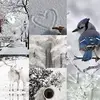 Kayleigh McCabe - @kayleigh.mccabe7 - TikTok