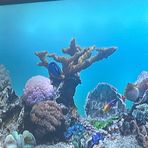 Kaylee Tanner - Facebook
