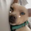 Kayleigh Wright - @glow.up096 - TikTok