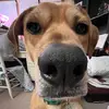 kaylie - @kayliehoffmann - TikTok