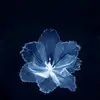 Kaylyn Davis - @kaylyn_davis1 - TikTok