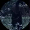 Kaylin King (Kay) - @kaylin_king - TikTok