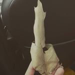 kaylyn Locklear - @miss.me_is_me - Instagram