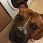 Kaysha Louise Smith - @kaysha_smith07 - Instagram