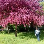 Kazimierz Lis - Facebook
