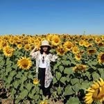Kazue  Hashimoto - @hashimoto.kazue - Instagram